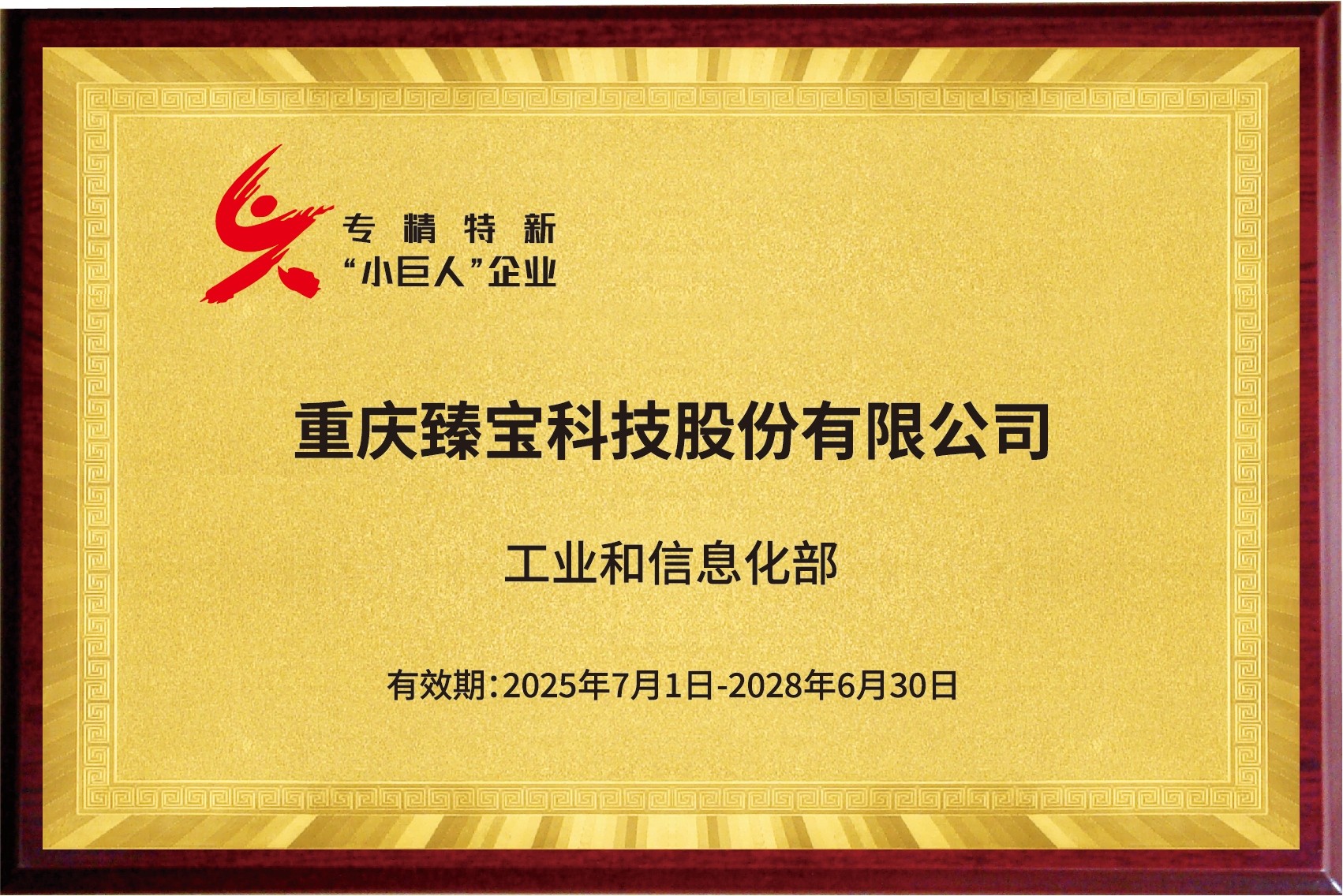 专精特新“小巨人”企业